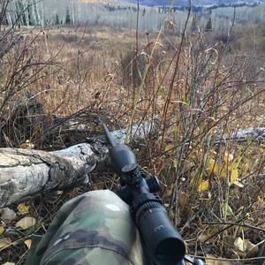 Meet your Posher, Dick